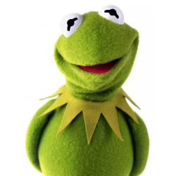 kermit triste