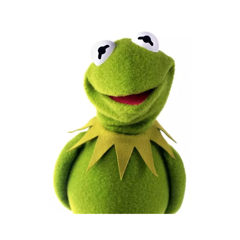 kermit triste